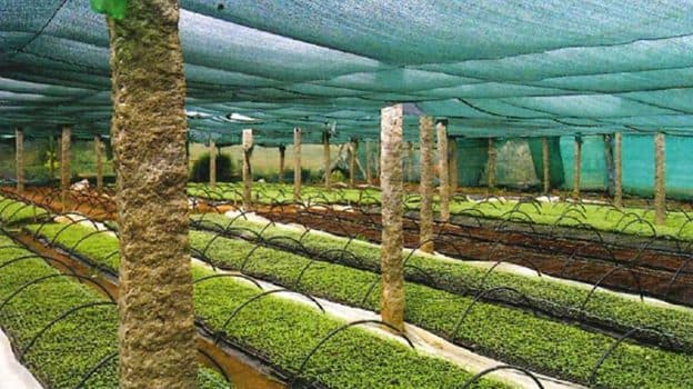 تصویر 1 از قیمت خرید توری سایبان مونوتیپ با فروش عمده